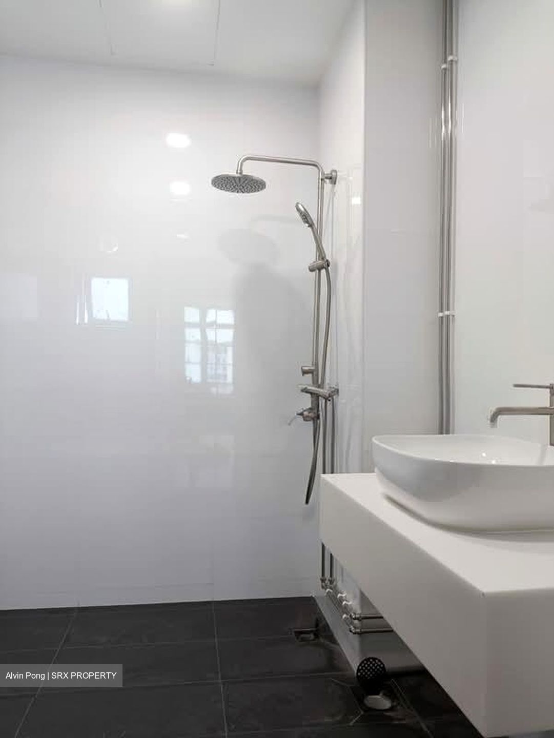 Pinetree Condominium (D10), Condominium #567688501